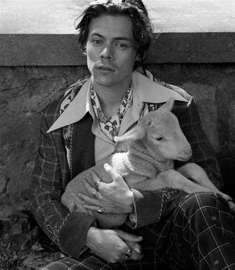 harry styles gucci shoot lamb|harry styles gucci jacket.